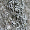 minibild | minipic
