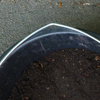 Aussaat | Sowing