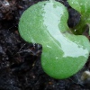 Nahsicht | Close Up