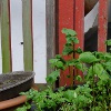 Platzwechsel | Moved