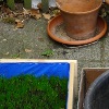 Neue Umgebung | New Surrounding